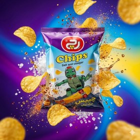 تصویر چیپس 50گرم سرکه ای رچ (48عددی) 