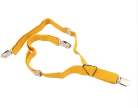 تصویر ساسبند (دارای رنگبندی) 