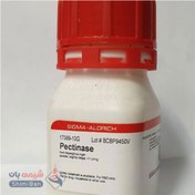 تصویر آنزیم پکتیناز (Pectinase from Rhizopus sp) کد P2401 اصلی سیگما 