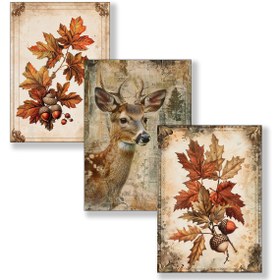 تصویر تمساز پاییزی 