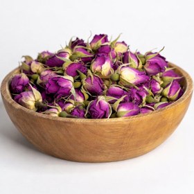 تصویر غنچه گل محمدی 