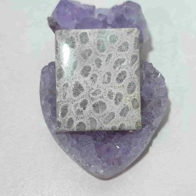 تصویر نگین مرجان فسیلی اصل کد 6 