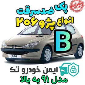 تصویر پک کامل ضد سرقت 206(B) 