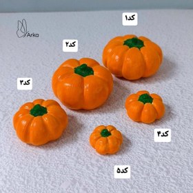 تصویر قالب کدو سری D 