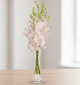 تصویر گریس ساده کد35 (استرالیا) 