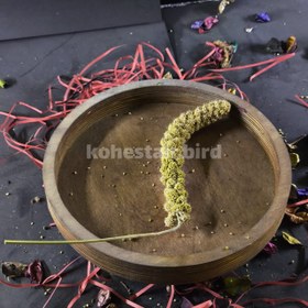 تصویر اَرزن خوشه ای 