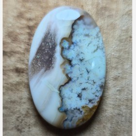 تصویر شجر سایز بزرگ 