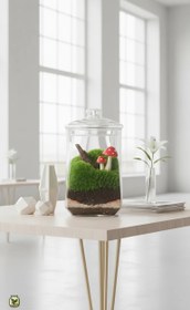 تصویر تراریوم خزه ای 