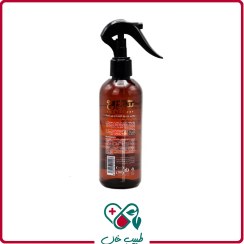 تصویر اسپری روغن آفتاب سی گل SPF6 حجم 250 میلی لیتر/SeaGull SPF6 Face And Body Sun Oil Spray 250ml 