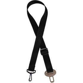 تصویر باکس حمل گربه 