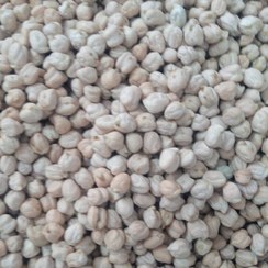 تصویر نخود کرمانشاه زود پز.محصول امسال کاملا پاک شده 