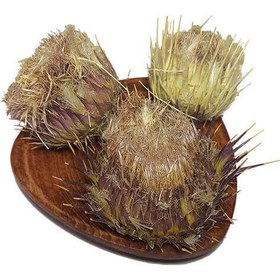 تصویر گیاه خشک خارمریم 