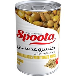 تصویر کنسرو عدسی اسپوتا ۳۸۰ گرمی 