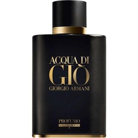 Acqua Di Gio Profumo 125