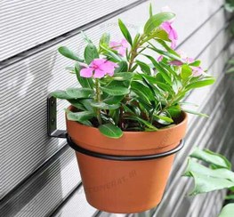 تصویر استند گلدان حلقه دیواری فلزی 