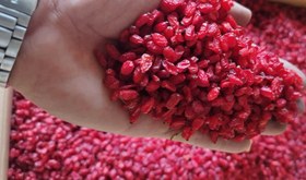 تصویر زرشک پفکی 100 کیلویی 