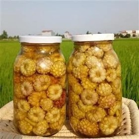 تصویر ترشی گل سیر،500 گرمی،گیلان.رشت 