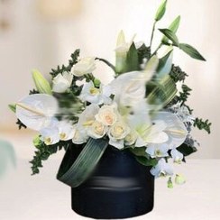 تصویر باکس گل ترحیم سرنا 