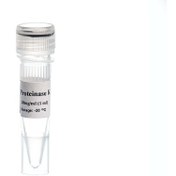 تصویر MO5421-Proteinase K (20mg/ml)- پروتئینازکا 