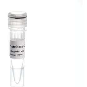 تصویر MO5421-Proteinase K (20mg/ml)- پروتئینازکا 