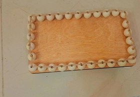 تصویر زیر روغن ریز. مهره دار 