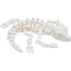 تصویر اکشن فیگور مدل سوسمار شاخدار AF01 