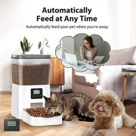 تصویر ظرف غذای اتوماتیک سگ و گربه 4 لیتری با قابلیت تنظیم صدا Automatic Pet Feeder For Dogs And Cats Voice Recorder