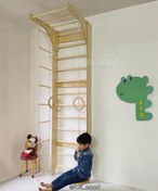 تصویر نردبان سوئدی به همراه نردبان معلق، تاب دیسکی و حلقه ورزشی 