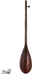 تصویر تنبور حسام محمدی کاسه یک تکه 