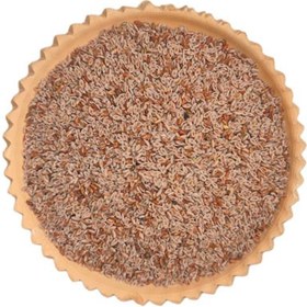 تصویر اسفرزه 