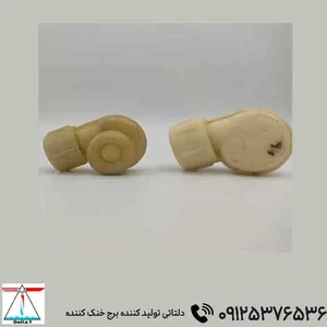 تصویر فروشگاه دلتاتی کو