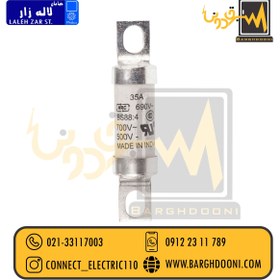 خرید و قیمت فیوز شاخکدار 35 آمپر تندسوز باسمن مدل FE35 | ترب