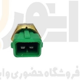 تصویر فشنگی آب فن سبز پژو 405 ایساکو 