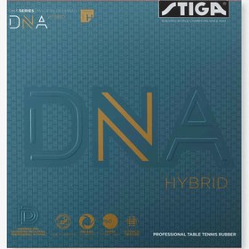 تصویر رویه DNA Hybrid H استیگا 