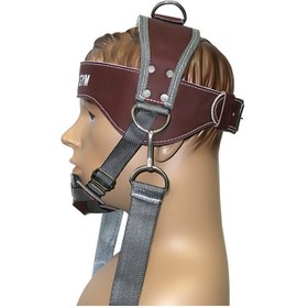 تصویر تسمه گردن پاورجیم neck strap