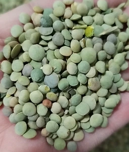 تصویر فروشگاه سورن20