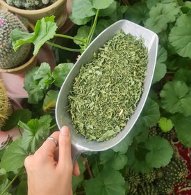 تصویر سبزی پلو 