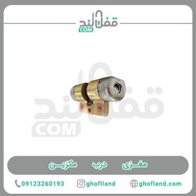 تصویر مغزی درب مکزین 