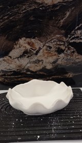 تصویر صدف بزرگ کد ۳ Sadaf bozorg 3