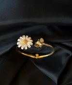 تصویر بنگل بابونه 