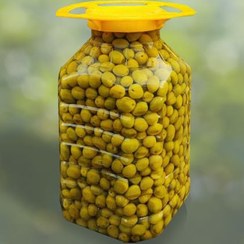 تصویر زیتون کنسروی درشت عمده (۶.۵ کیلوگرمی) 