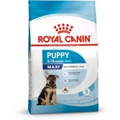 تصویر غذای خشک سگ رویال کنین ماکسی پاپی پرو 16 کیلوگرم Royal Canin Maxi Puppy Pro 