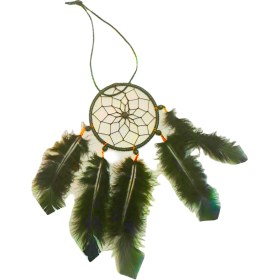 تصویر دریم کچر DREAM CATCHER