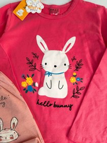 تصویر ست خرگوش وارداتي 