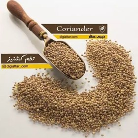 تصویر تخم گشنیز 100 گرمی 