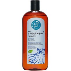 تصویر شامپو تقویت کننده مو فرش فیل fresh feel حاوی بیوتین مناسب موهای نازک و شکننده حجم 400 میل fresh feel SHAMPOO WITH BIOTIN 400 ML