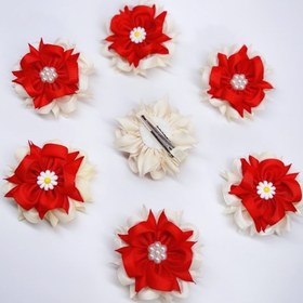 تصویر سنجاق یلدایی 