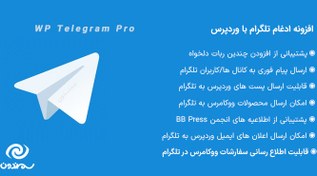 تصویر افزونه اتصال وردپرس به تلگرام WP Telegram Pro 
