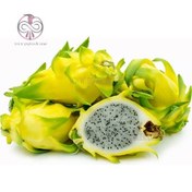 تصویر بذر دراگون فروت زرد ۵ عددی 