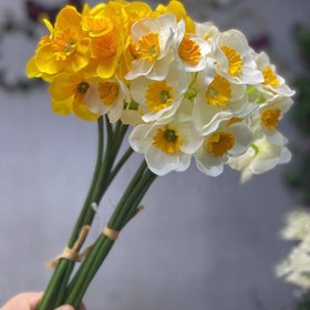 تصویر گل نرگس مصنوعی 
